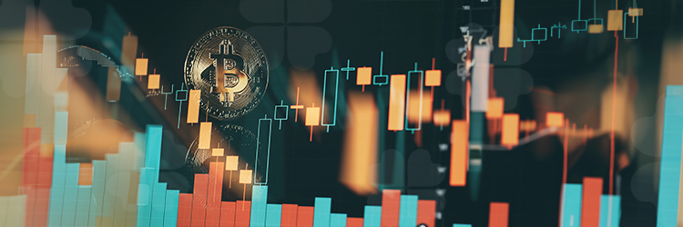 পুঁজিবাজারের লুটেরার প্রতীক, চৌধুরী নাফিজ সরাফত - পর্ব চার